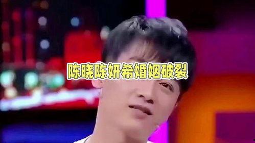 八卦吃瓜娱乐圈陈晓是谁,揭秘陈晓在娱乐圈的崛起之路